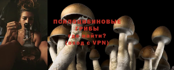MESCALINE Баксан