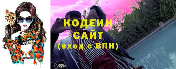 прущий лед Арсеньев