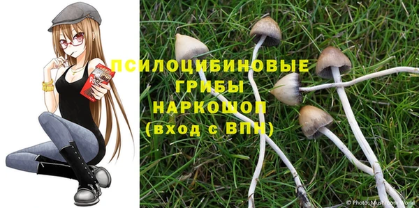 крисы Армянск