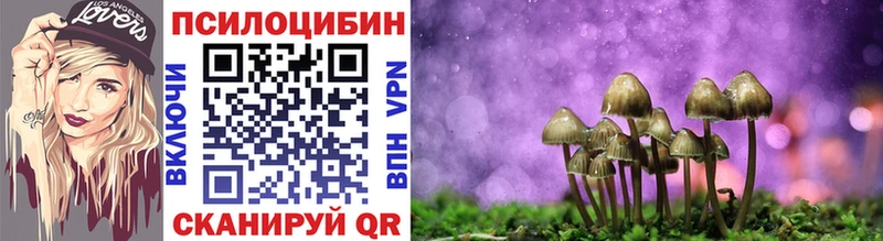 где можно купить наркотик Сретенск Псилоцибиновые грибы Cubensis