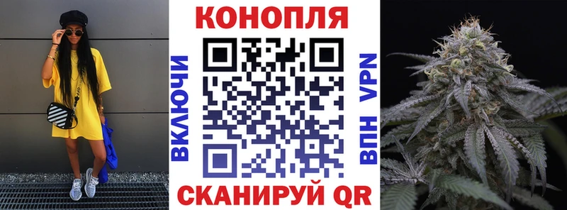 Канабис сатива  магазин продажи наркотиков  Сретенск 